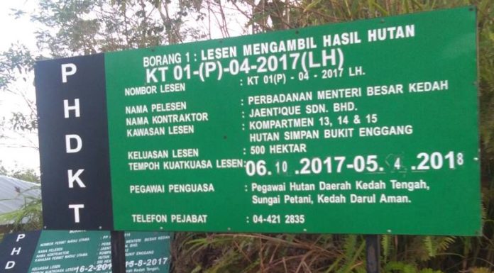 Penduduk dakwa pembalakan punca musibah di Sik