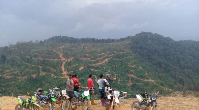 LATAS desak henti penggondolan Bukit Enggang