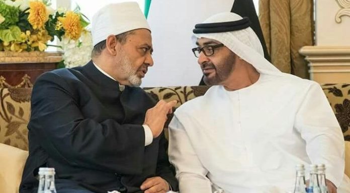 Kesatuan Ulama, Majlis Hukama dalam persaingan Qatar-UAE