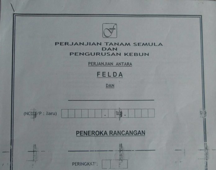 suratFelda