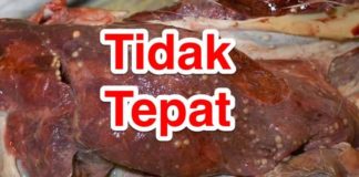 Gelembung putih pada daging