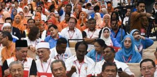 Ajakan Presiden Bersatu untuk Melayu bersatu?
