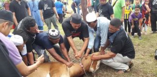 Korban MAFAZ semai erti pengorbanan pada-Nya