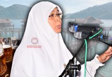 Ada agenda halus DAP di Pulau Pangkor?