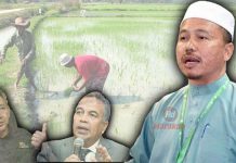 Kerajaan PH tarik tali, pesawah derita