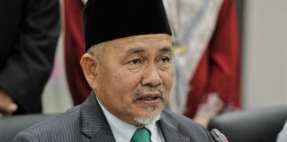 Tuan Ibrahim wakili Presiden PAS menghadap Agong