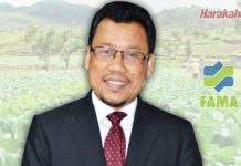 MOA jamin bekalan cukup, bantu atasi lambakan