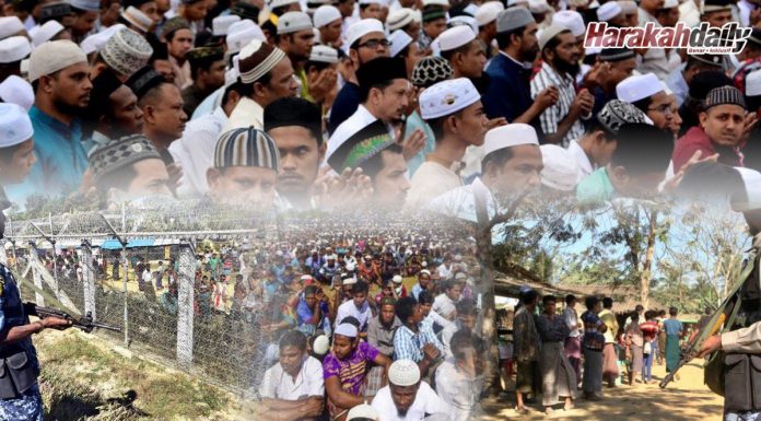 rohingya