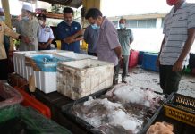 Bekalan ikan cukup sepanjang PKP – Menteri