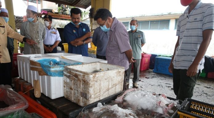 Bekalan ikan cukup sepanjang PKP – Menteri