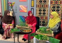 Dapur hijau Kelantan jaga lestari alam sekitar