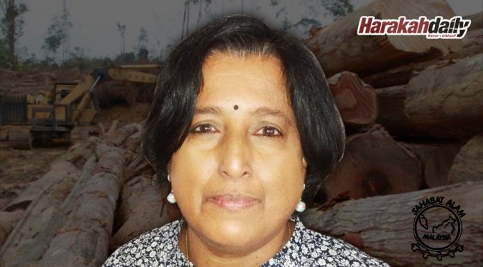 Segera dapatkan dana bagi pelindungan hutan
