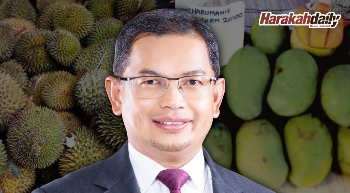 Cantuman dewasa untuk hasil pertanian lebih baik