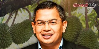 Nak tanam Musang King 1,000 ekar?