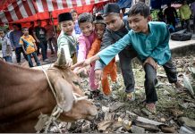 Haiwan korban dihadkan 10 ekor satu kariah