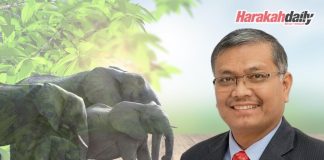 Santuari gajah produk pelancongan baharu Perak