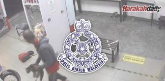 Bunuh tiga ekor kucing dalam mesin basuh