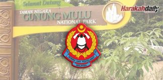 Bomba tubuh Mocsar di Taman Negara Mulu