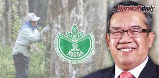 Pekebun kecil terjejas boleh mohon geran