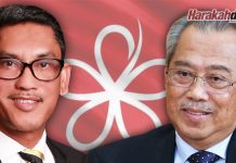 Pemilihan BERSATU: Muhyiddin menang Presiden bersatu