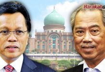 Muhyiddin nafi tawar Shafie jawatan TPM