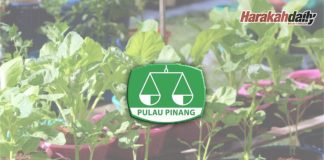 CAP seru orang ramai tanam sayur di rumah