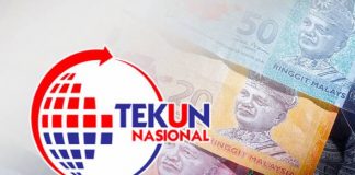 Peluang jana pendapatan melalui TEKUN Mobilepreneur