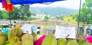 Pengerusi Dar Al-Abrar jual durian kumpul dana