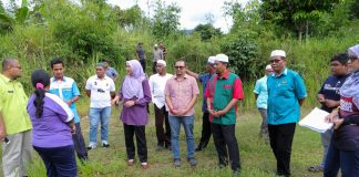 Hak kerajaan negeri dikembali semula