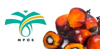 MPOB sasar 492,00 pekebun kecil terima sijil MSPO