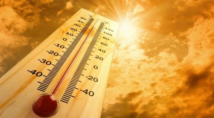 Europe swept by extreme heatwave