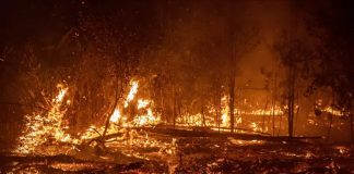 KASA will not proceed with pollution bill
