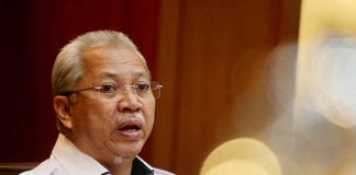 Putrajaya needs new ideas to remain dynamic