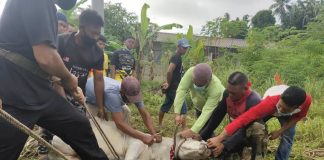 Korban Perdana K Krau berlangsung di KOMTAQ