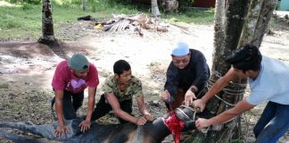 Geng Ustaz Melaka anjur korban sempena penubuhan