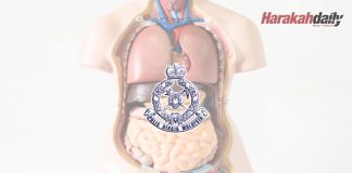 Pemerdagang organ manusia serah diri
