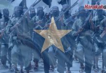 Militan al-Shabaab tawan hotel terkenal