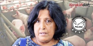SAM sokong tutup sementara ladang babi