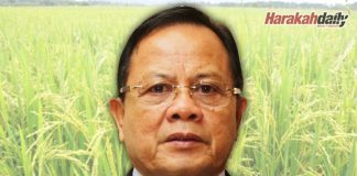 MAFI tak cadang import benih padi