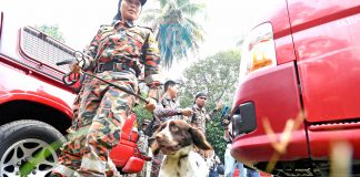 Inquest: Tracker dog detected ‘something’ – Witness