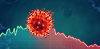 Economy: Pandemic demands more research from academics