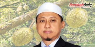 Tindakan tegas penceroboh kebun Musang King