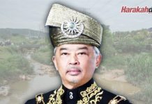 Cemar sungai: Agong dukacita, titah hukuman berat
