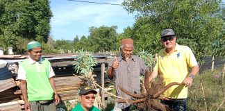 Projek tanam ubi kayu Lajnah Ekonomi PASKIM