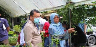 Kelantan negeri kedua terbesar hasil madu kelulut