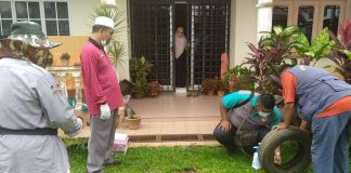 Aedes kekal menjadi ancaman pasca PKP
