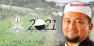 Jadikan Pahang negeri pertanian makanan utama negara