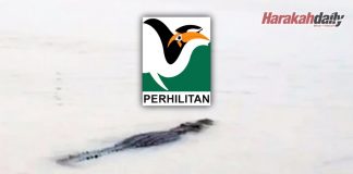 PERHILITAN sahkan ada buaya di Sg Lalang, Sg Petani