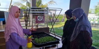 Suri rumah manfaat aktiviti pertanian bandar