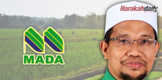 Serangan hawar padi terkawal – Pengerusi MADA